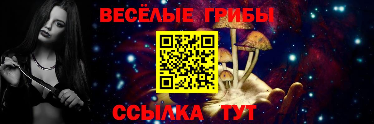 Галлюциногенные грибы мицелий  Вход с VPN  Артём 
